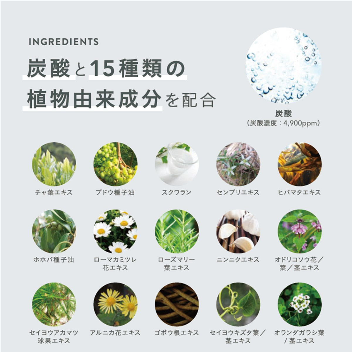 スキャルプエッセンススプレー 180g(リラックスグリーンティ)≪頭皮&ボディ用美容液≫ - 画像 (4)